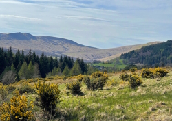 Image of a grassy & hilly landscape